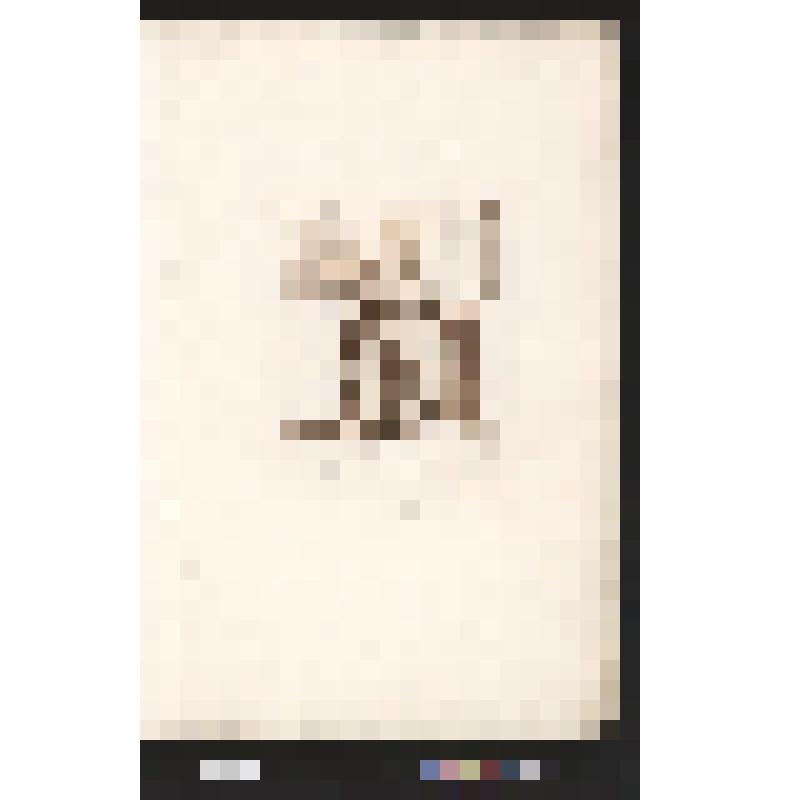 3. Встреча Марии и Елизаветы