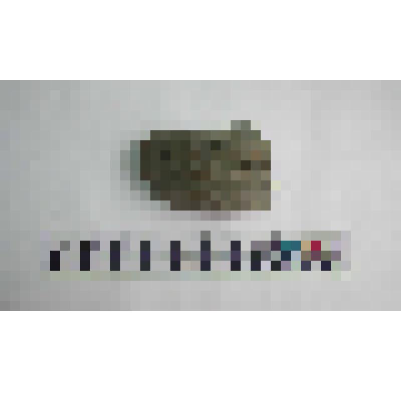 Фрагмент ручки амфоры типа Зеест 80