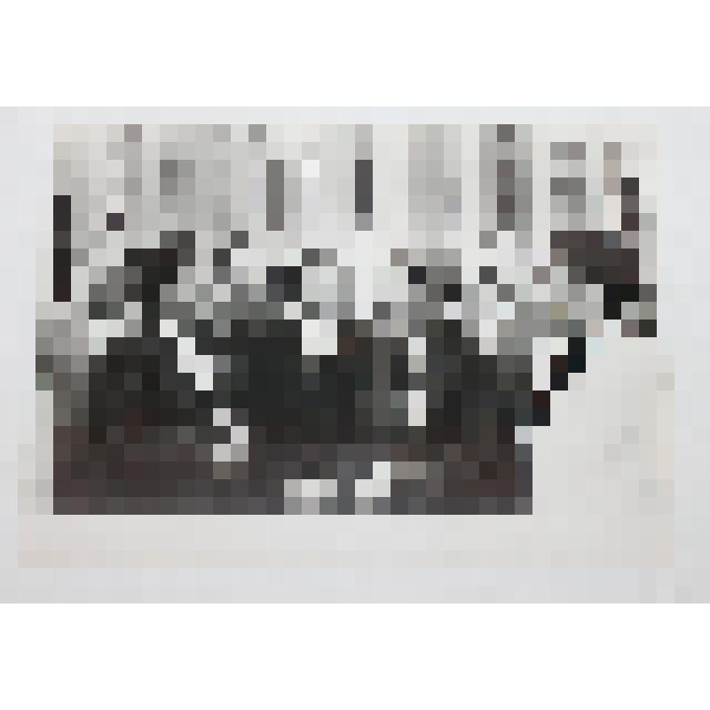 Фотография коллективная