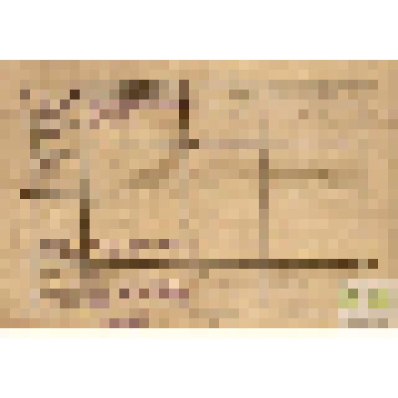 Трудовой список  Гончарова Б.П