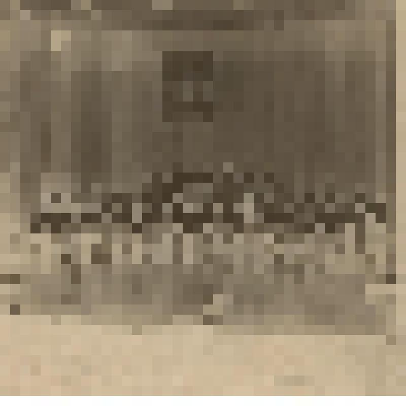 Негатив. "Оркестр народных инструментов, 1987 г."