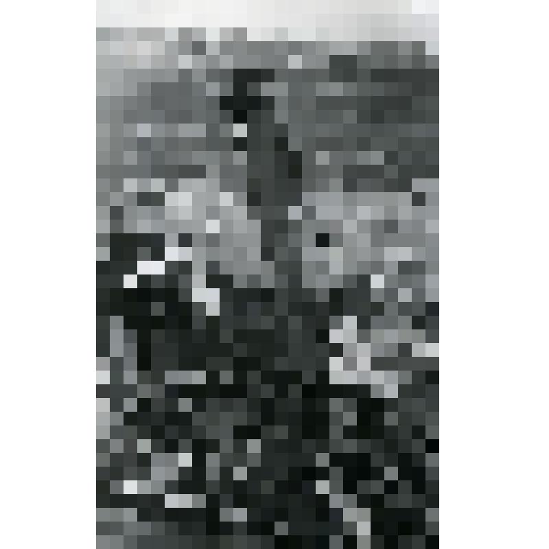 Добыча угля отрытым способом на Ангренском разрезе