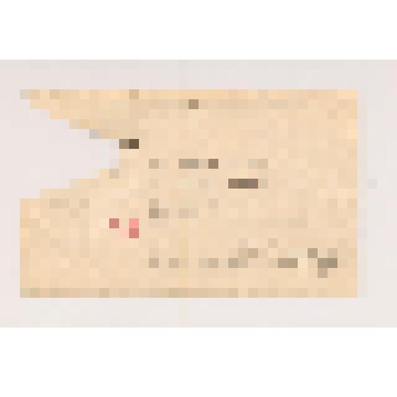 Д.Р. Рерих. Конверт