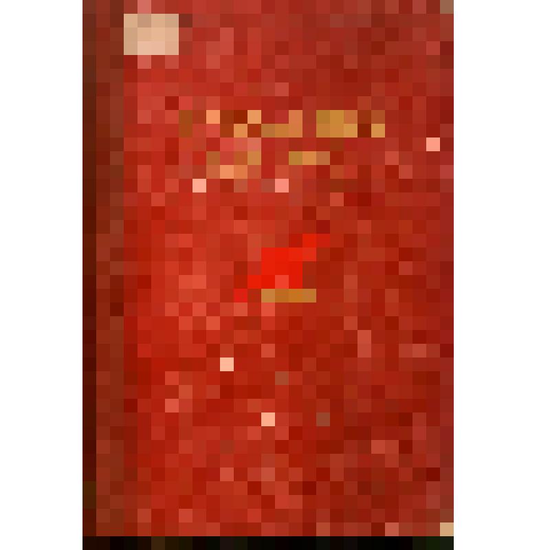 Книга. Революция 1905-1907 гг. в Прикамье