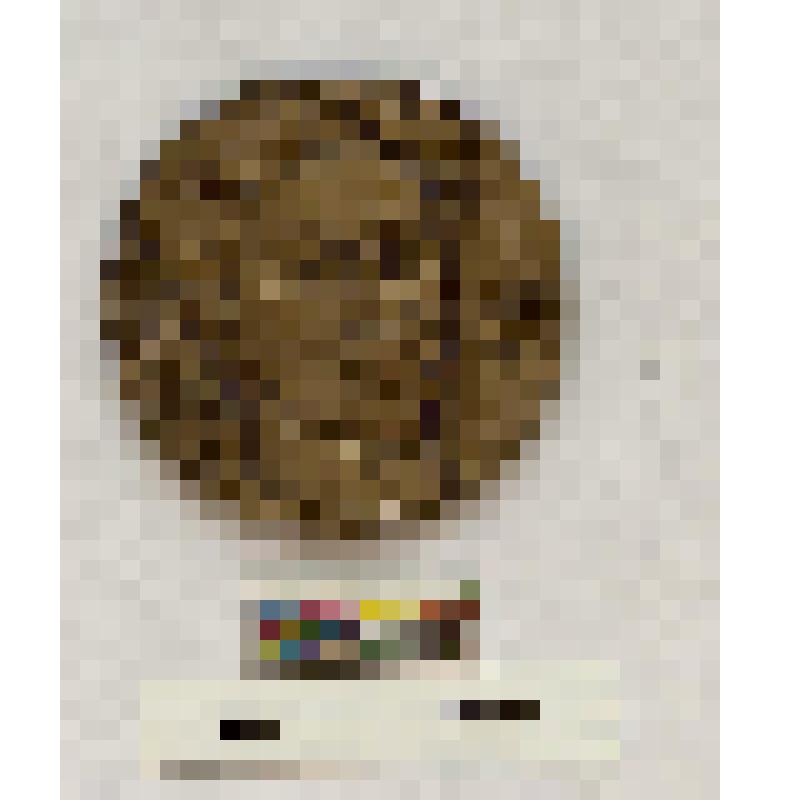 СССР. Медаль. Памяти А.С. Скрябина