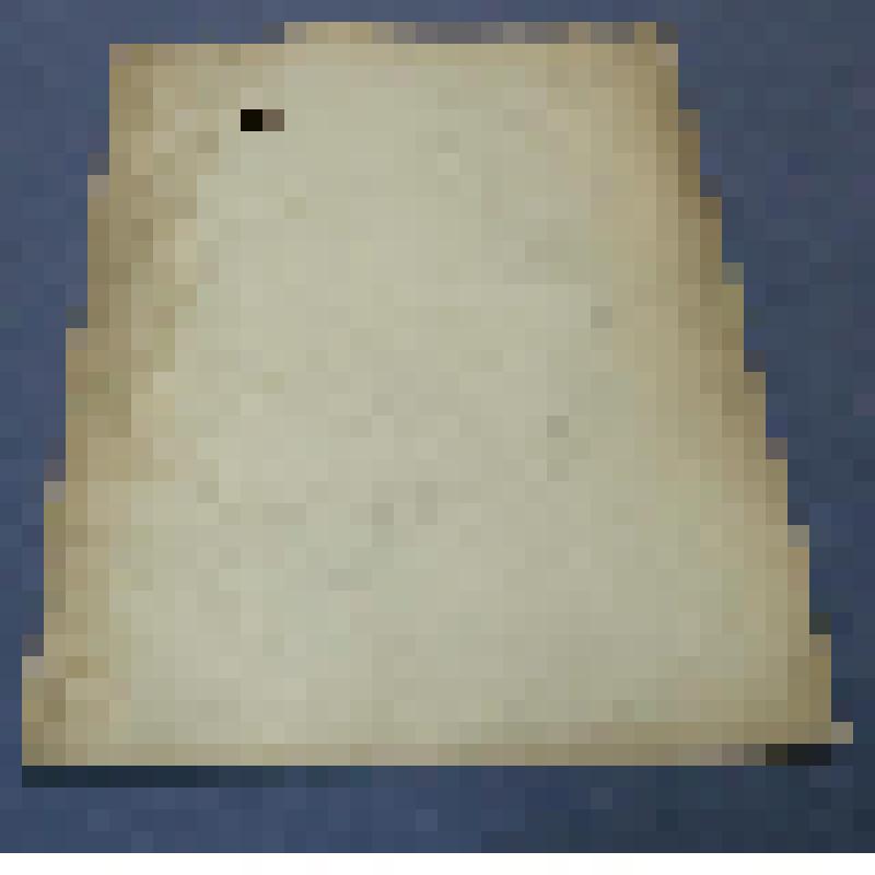 Ботаническая коллекция. Легодия, на гербарном листе, Усть-Абаканский район, Абакан, взято на обрыве южного склона