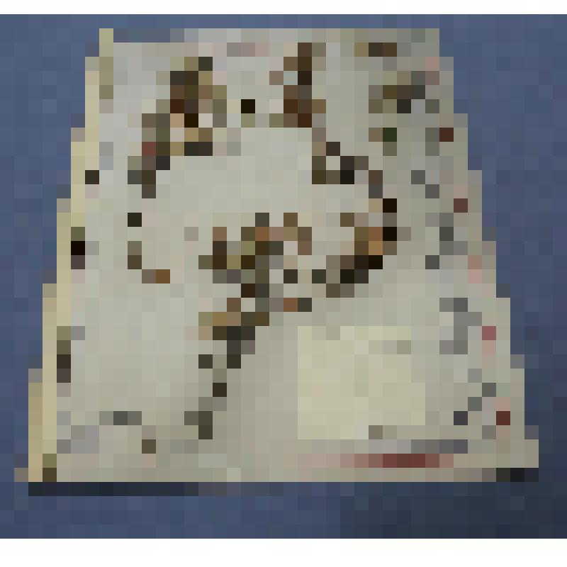 Ботаническая коллекция. Легодия, на гербарном листе, Усть-Абаканский район, Абакан, взято на обрыве южного склона