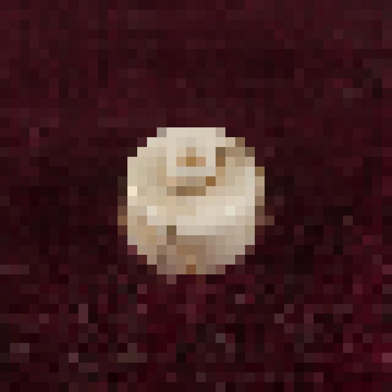 Коробка с костяными бирюльками: кубышка