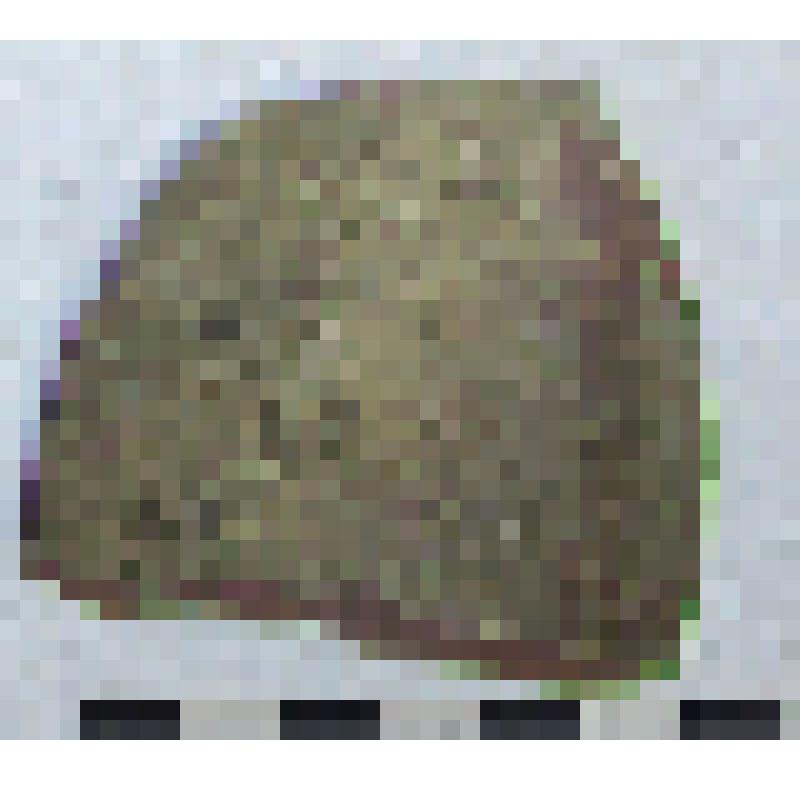 Фрагмент плеча амфоры типа D с дипинти