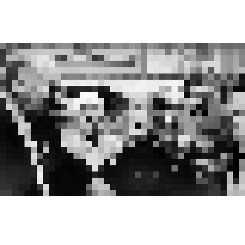 Серия фотографий с авторской фотовыставки "Мой взгляд". Фото ч/б. Префект Алексей Ищук. 1998 г