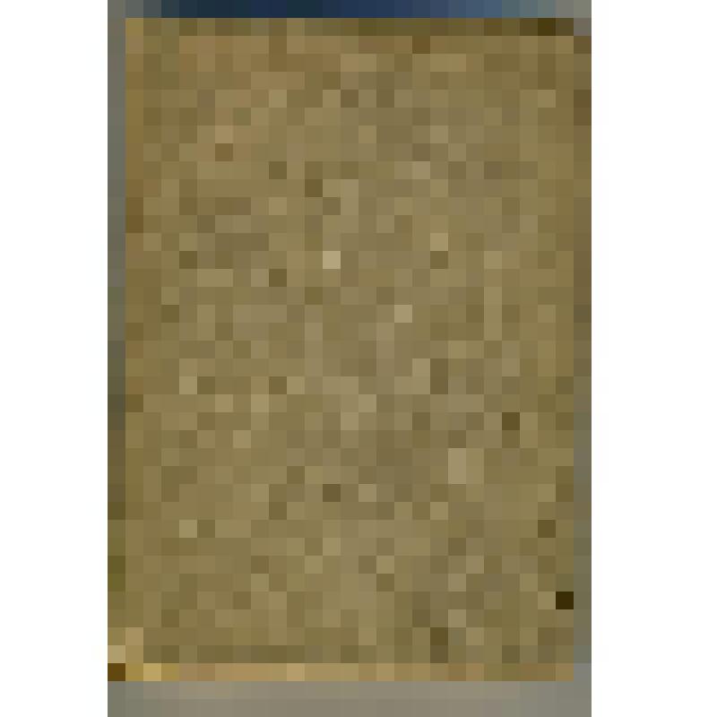 Голенищев-Кутузов А., граф. Сочинения графа А.Голенищева-Кутузова. Т.1.- СПб.: Тип. А.С.Суворина, 1894.- VI, 218c