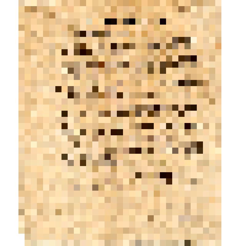 Резолюция о мобилизации 15 процентов рабочих. "Совещание рабочих профессиональных организаций и фабрично-заводских комитетов:"