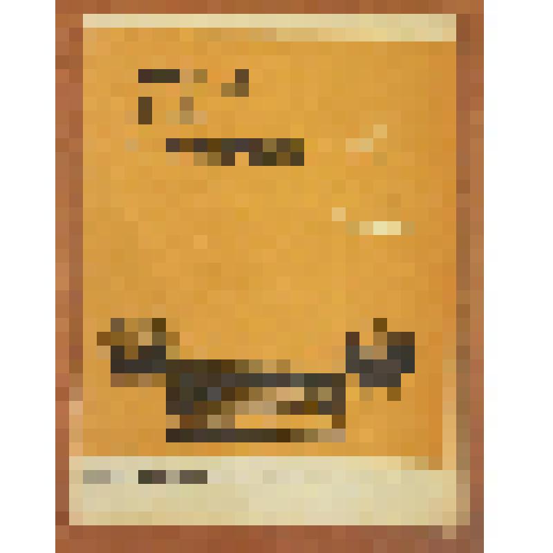 Руководство по эксплуатации. Радиолы «Вега - 319 - Стерео»