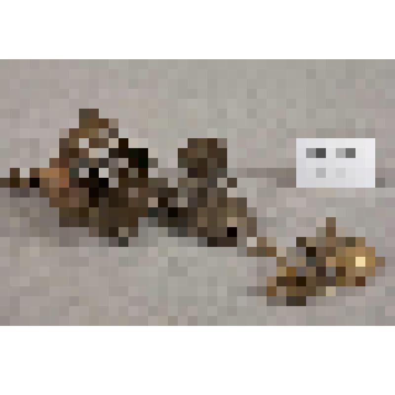 Подлампадник