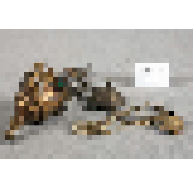 Подлампадник