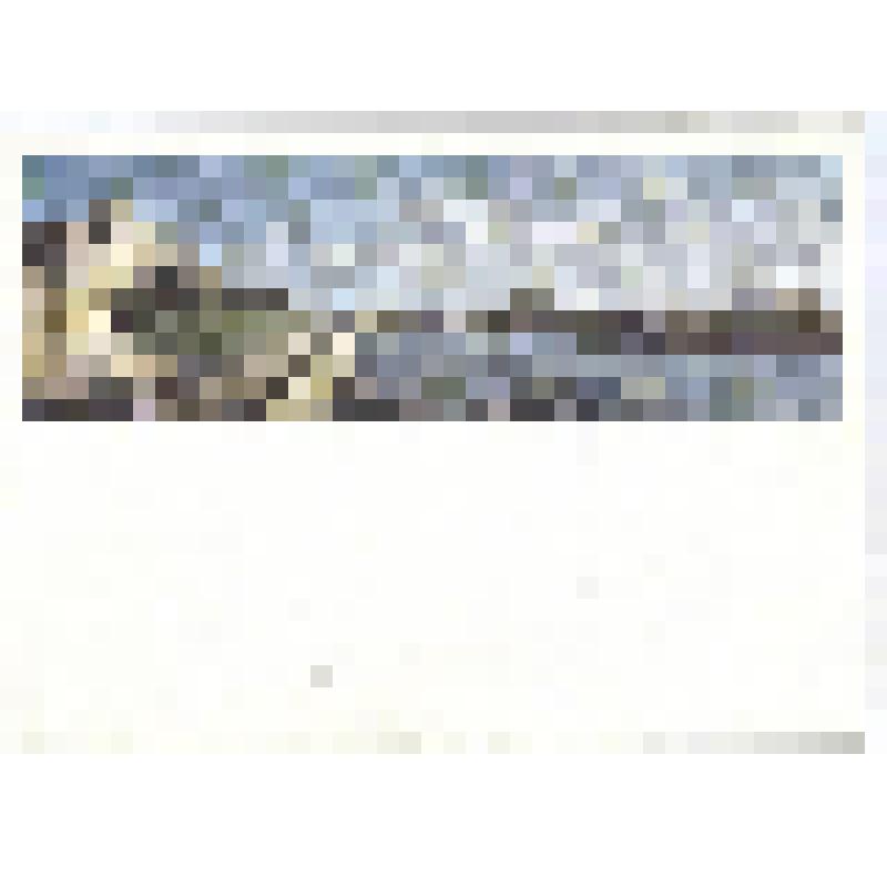 Карточка почтовая. Москва. Ростовская набережная