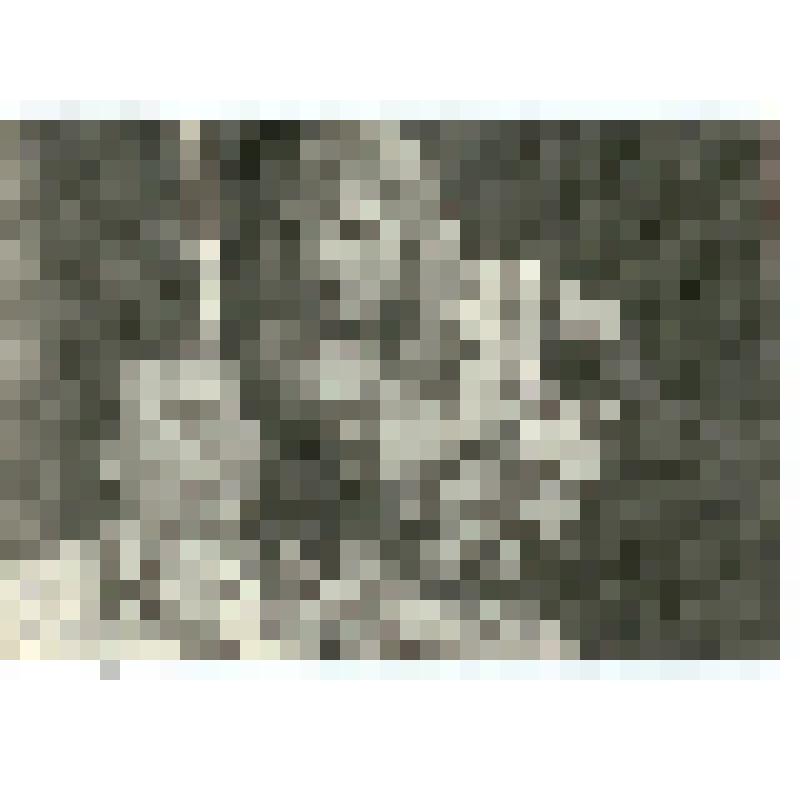 Фотография. Шутова Ливия Васильевна в роли Кэрол Картрир, и Янин Яков Иванович в роли Вэла Ксавье, в спектакле «Орфей спускается в ад»