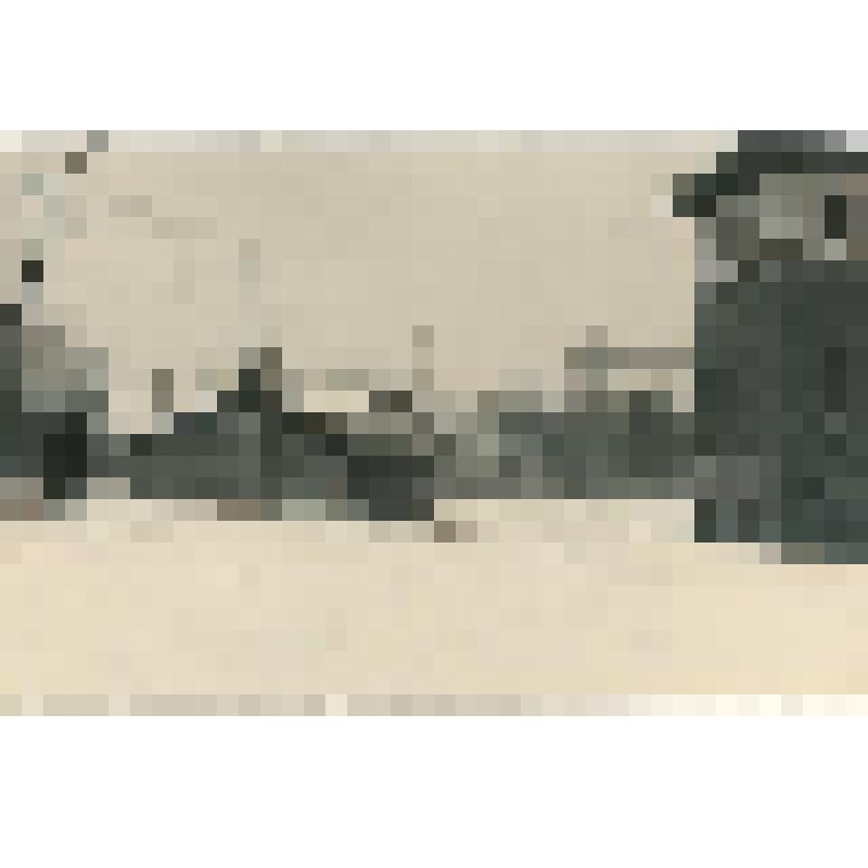 Фотография. Хозпостройки на территории Сахалинского областного краеведческого музея