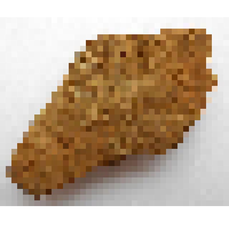 Фрагмент стенки сосуда