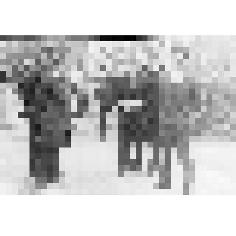 Тращенко П.Ф. на дежурстве с дружинниками во время демонстрации