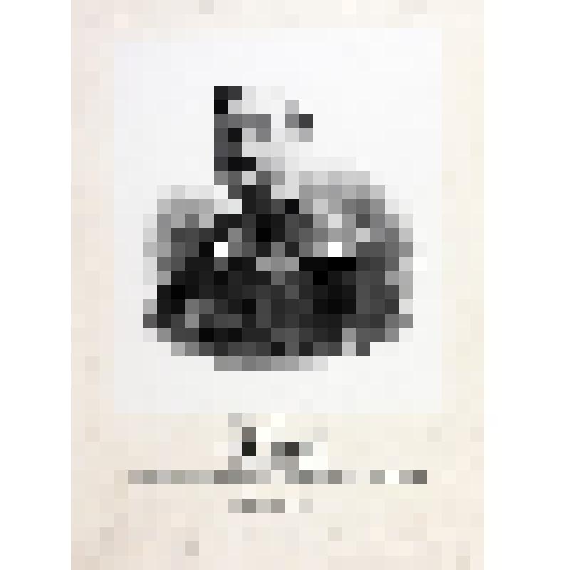 Портрет. Пётр Федорович Козлянинов 1-й. Из альбома "Портреты лиц, отличившихся заслугами и командовавших действующими частями в войне 1853-1856 гг."