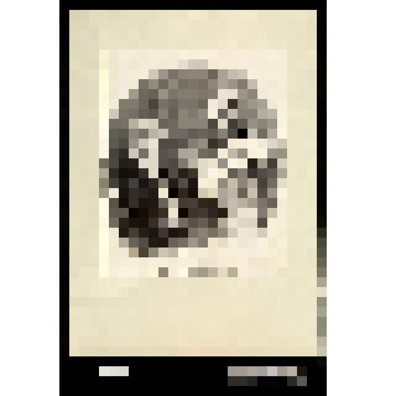 Aux Champs Élysées