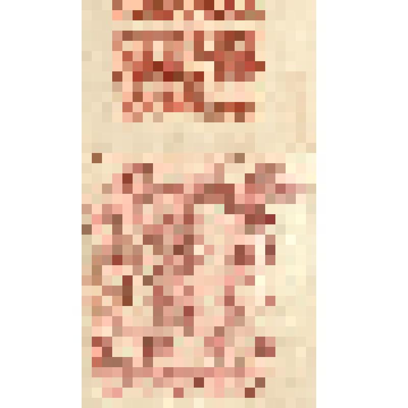 Зарисовки концов полотенец. Из альбома "Сбор материала по народным художественным промыслам в г. Вологде и Тотьме. Ткачество и набойка"