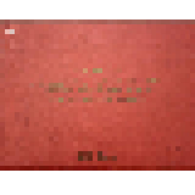 Альбом "Ветеранов 90-й гвардейской стрелковой Витебско-Новгородской дважды краснознаменной дивизии". Фото 66