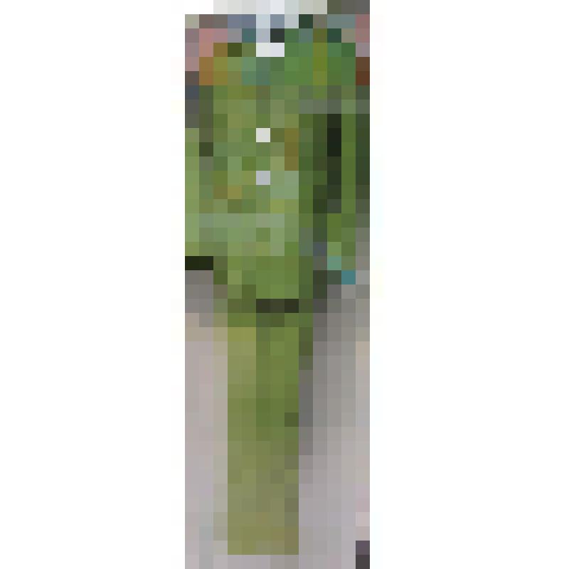 Форма  сотрудника полиции Социалистической республики Вьетнам