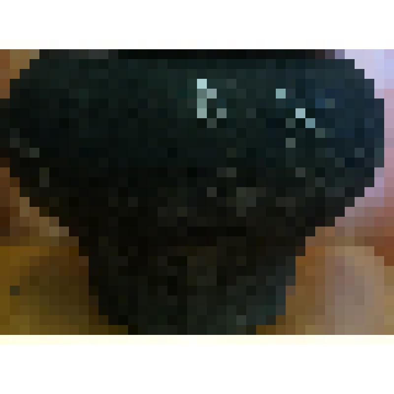 Предмет быта "чугун"