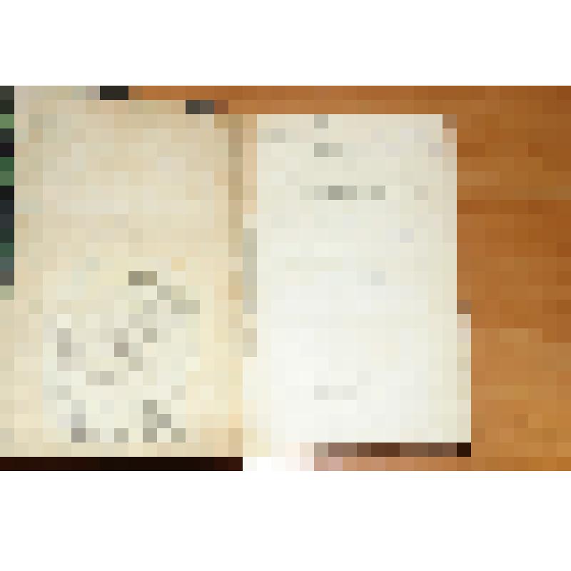 Книга на немецком языке. Журнал о Германской древности и немецкой литературе при участии К.Мюленхофа и В.Шерера. Под редакцией Е.Штайнмейера. 25 книга. Берлин. 1881г