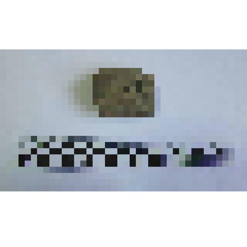 Ручка амфоры типа Зеест 72
