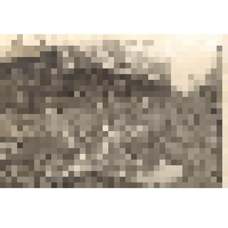 Фото. Вид на улицу Энгельса города Глазова