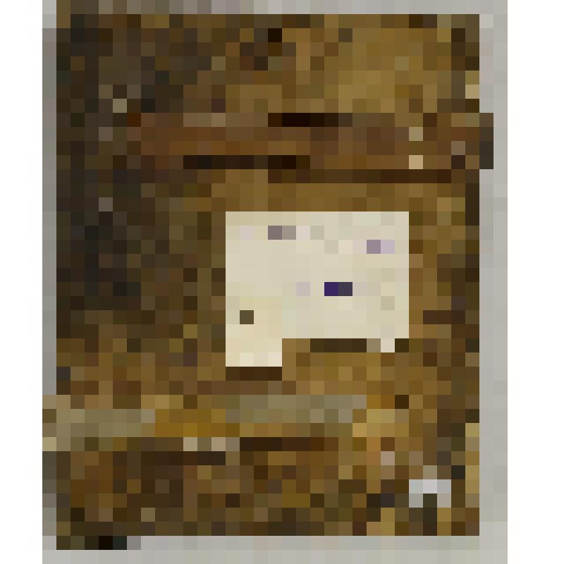 Святой Петр Афонский и св.Онуфрий Новгородский. Икона