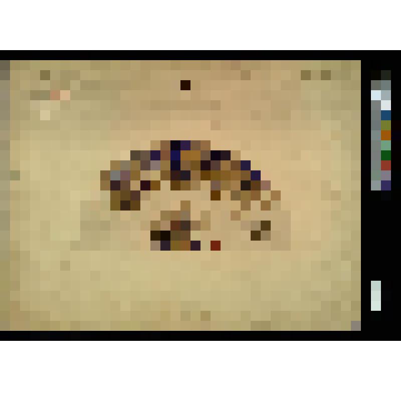 Эскиз декора тарелки