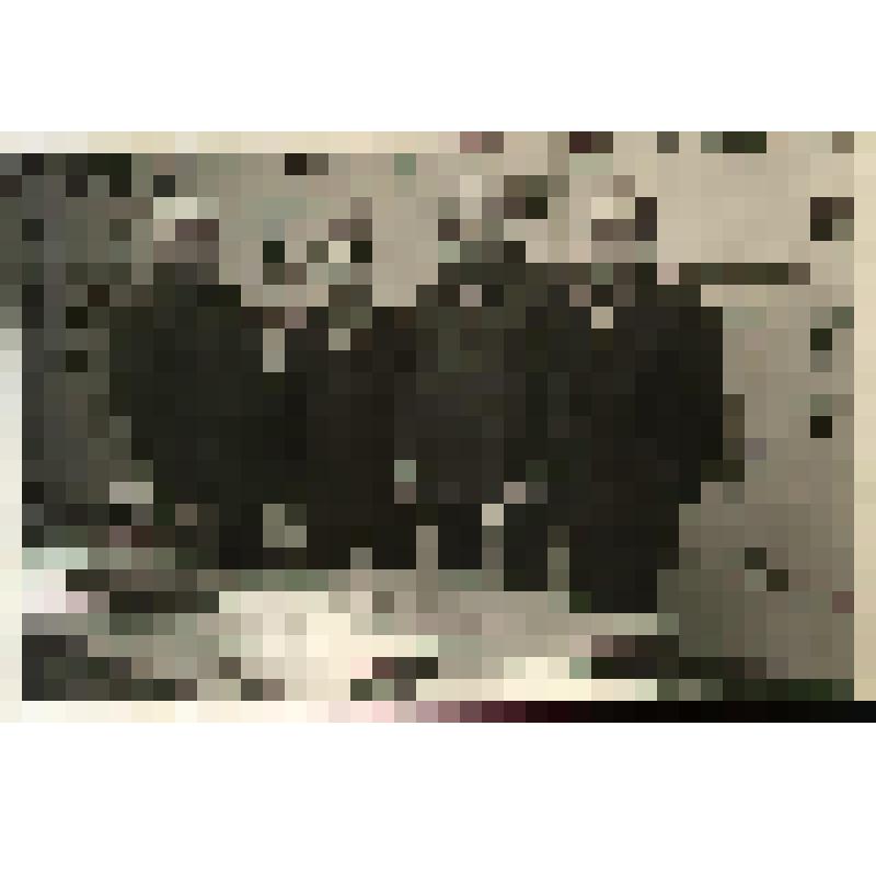 Фотография групповая. Викулов А.Г., Шерстобитов А.Ф., Романович В.Н. у центрального пульта Богословской ТЭЦ