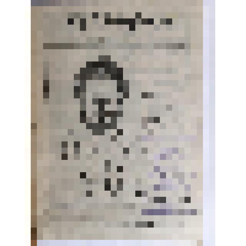 Брошюра. Бровкин В. Ироничные портреты