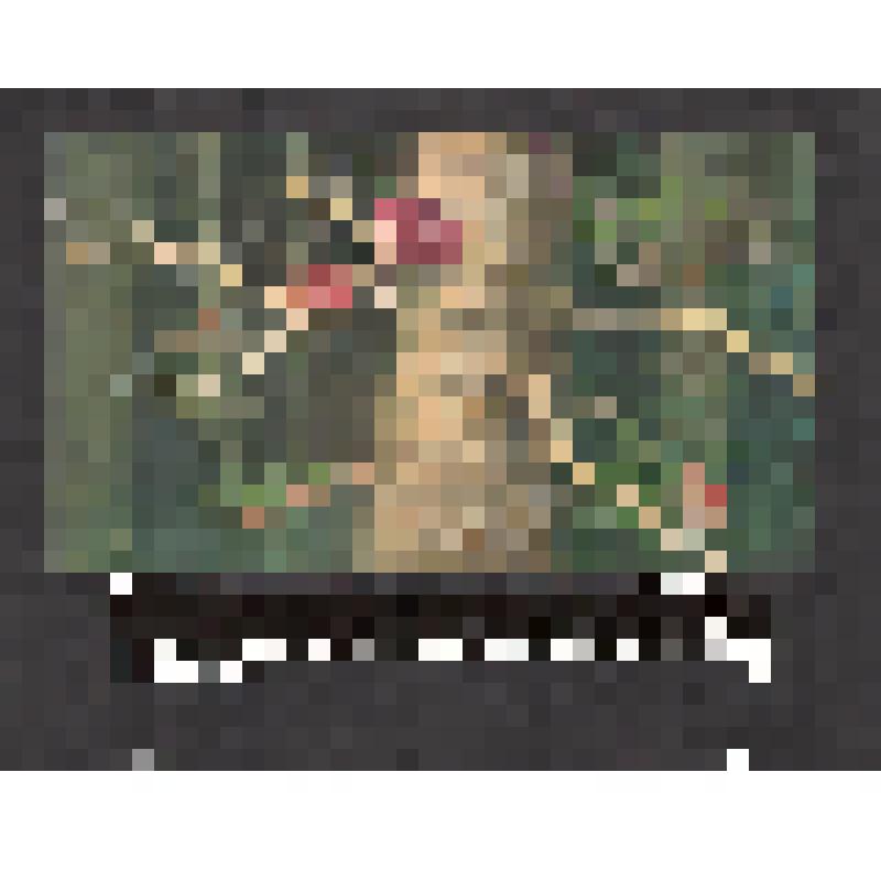 эскиз кадра к макету диафильма. Лист № 11: Запасы грибов на дереве
Фильм: Кто как к зиме готовится. 1989