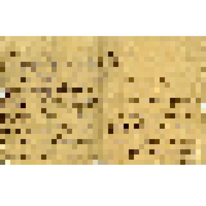 Письмо. Зина (Зинаида Николаевн Райх) из Орла – двоюродной сестре Соне. г. Орёл, 6 июня 1918 г