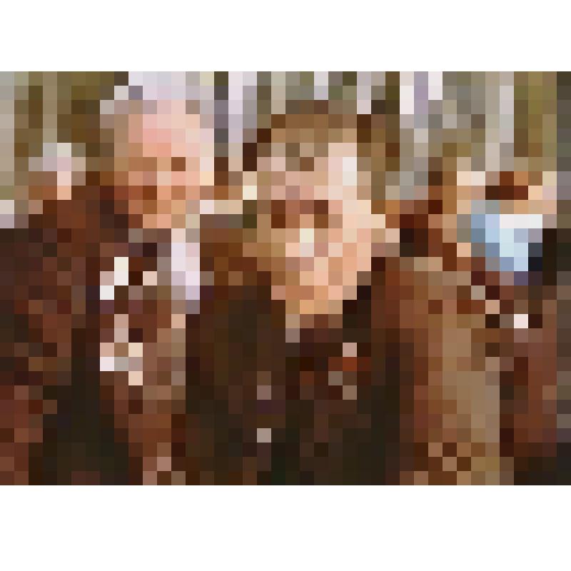 Фото Данченков Федор Семенович бывший командир 1-й Клетнянской партизанской бригады