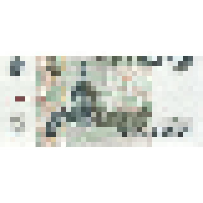 Билет Банка России 5 рублей. Россия