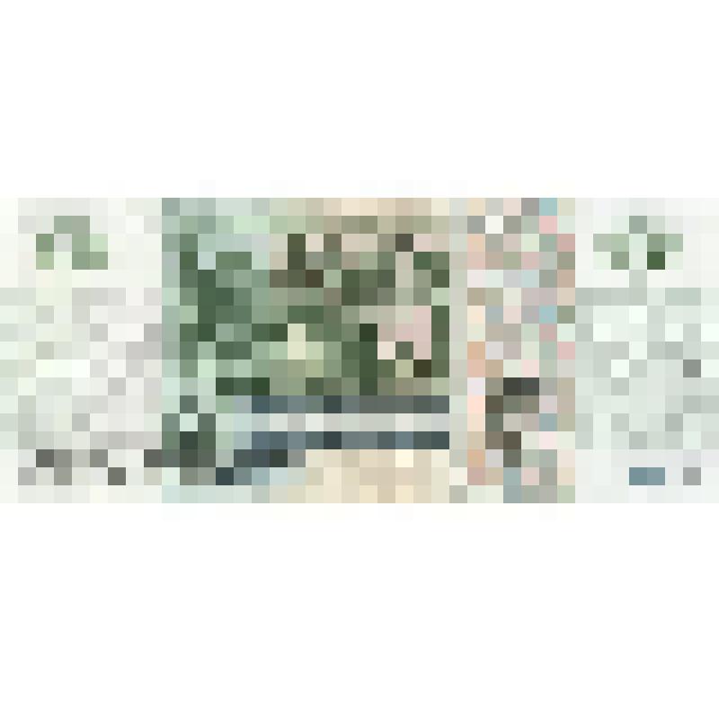 Билет Банка России 5 рублей. Россия