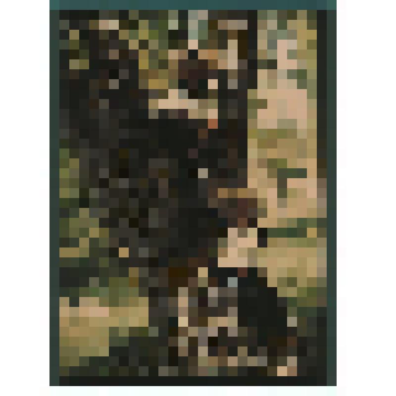 Фотография. Коля и Таня Козаковы