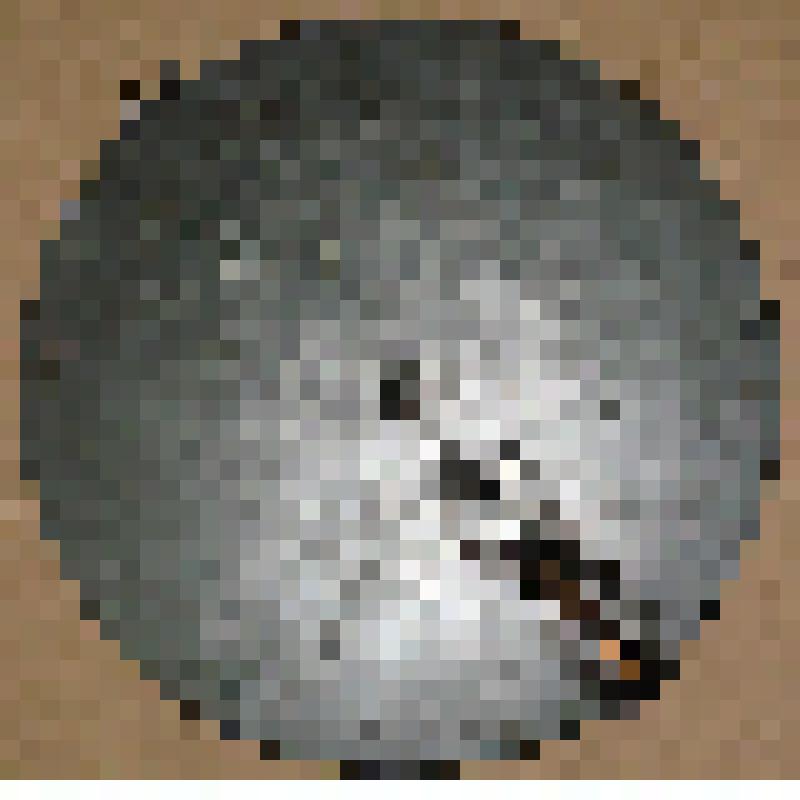 Магазин дисковый к пулемету ДП-27 (Дегтярева, пехотный, образца 1927 г.)