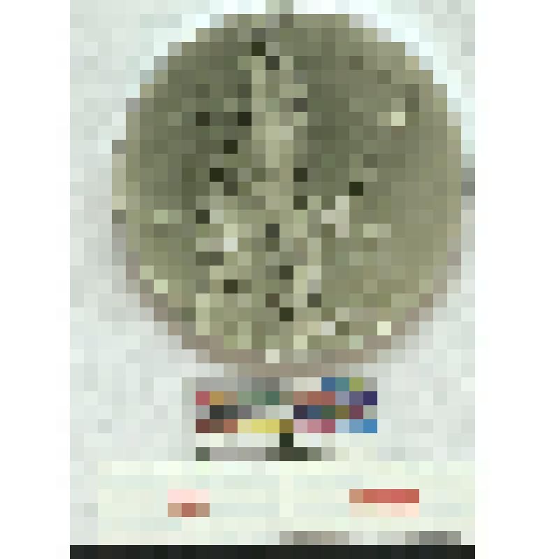 СССР. Медаль. 20-летие победы над фашистской Германией. 1965 г