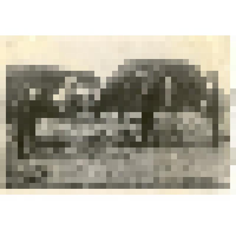 Фотография: уборка урожая в подсобном хозяйстве Каменской жилкооперации. Копия