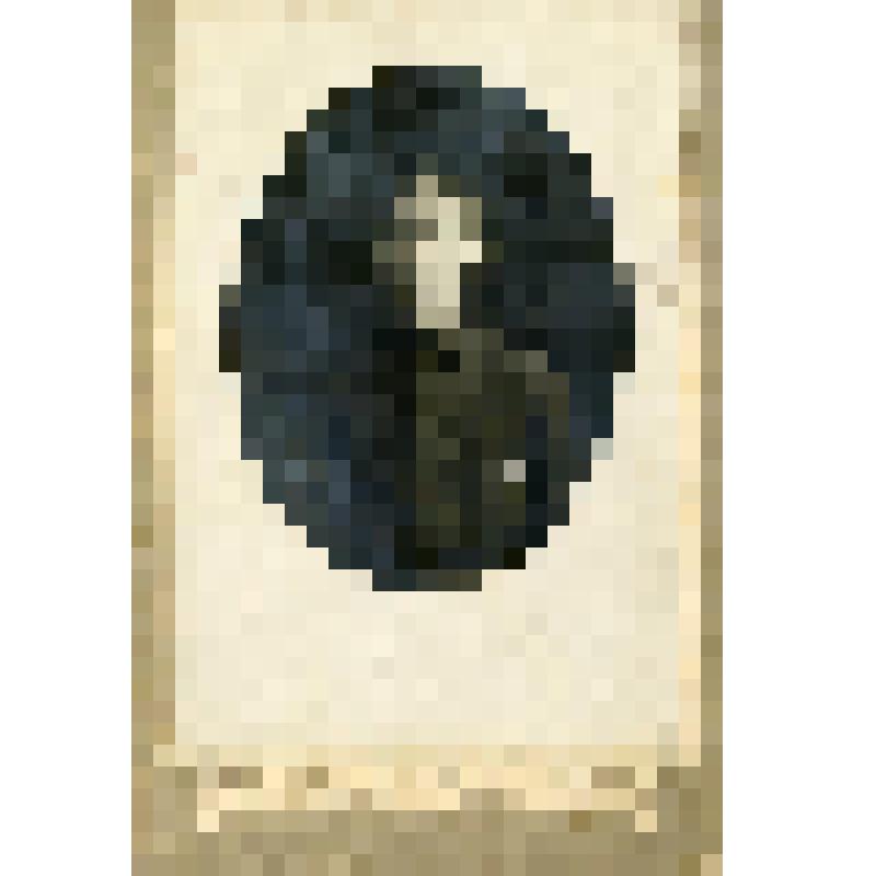 Портрет молодого человека (в овале). На паспарту. Фотография