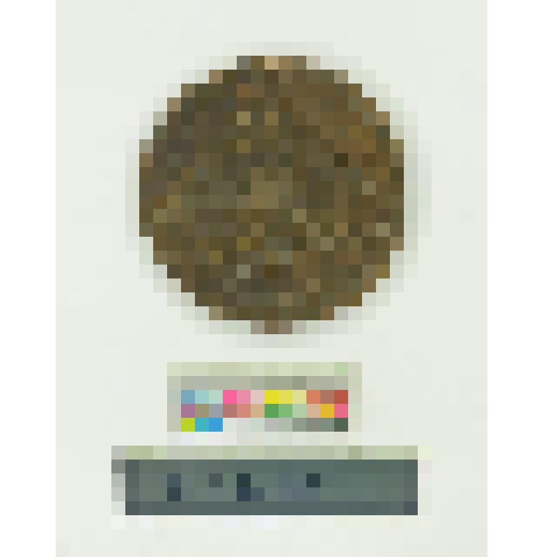 Монета. Николай I. 10 копеек. 1837 г