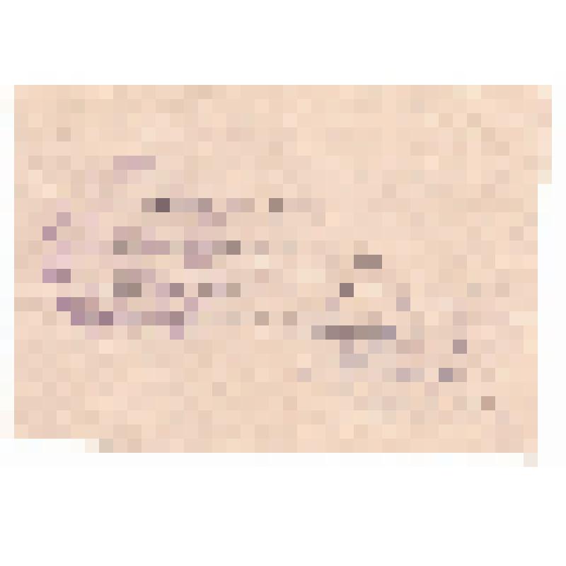 Пропуск на собрание Совета рабочих депутатов