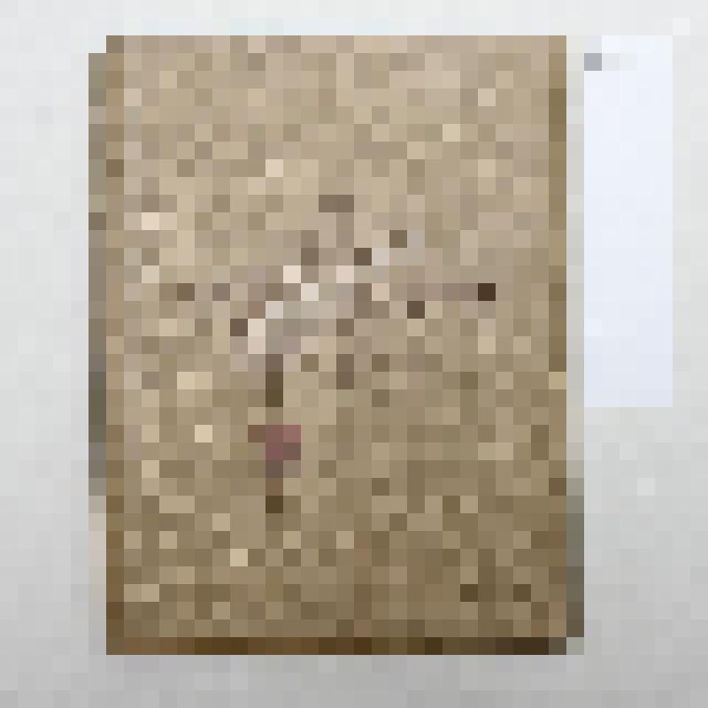 Книга большеформатная: Великая реформа: Русское общество и крестьянский вопрос в прошлом и настоящем.- Т. 2-ой. -- М.: Изд-е И.Д.Сытина, 1911